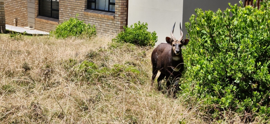 Commercial Property for Sale in Blue Ridge Western Cape